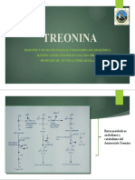 Metabolismo de Aminoacidos (Treonina)