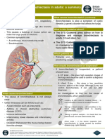 BTS Guideline for Bronchiectasis in Adults - a summary for the general public