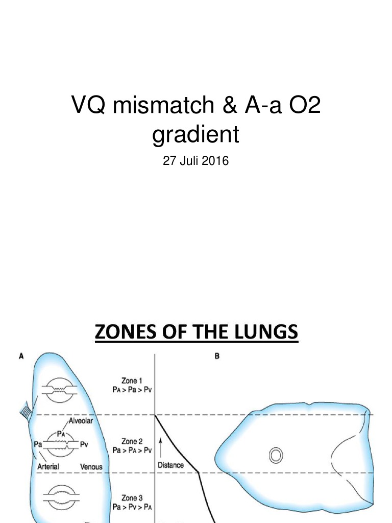 VQ - O2 Gradient | PDF | Respiratory System | Pulmonology