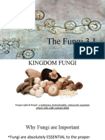 Fungi Kingdom Breakdown