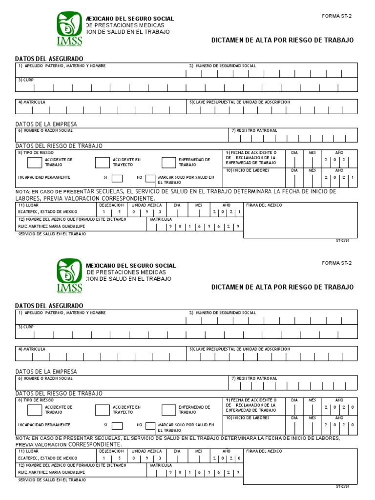 Dictamen Alta ST-2 IMSS | PDF | Bienestar | Cuidado de salud del gobierno