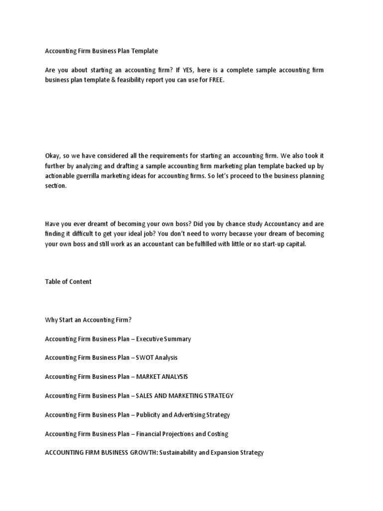 Accounting Firm Business Plan Template PDF Consultant Accounting