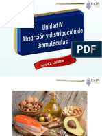 2 - 4.2. ABSORCIÓN Y DISTRIBUCIÓN LIPIDOS_OF2007