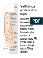 Cadena de Transporte Electrónico y Fosforilación Oxidativa-2020