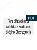 GLUCONEOGENESIS