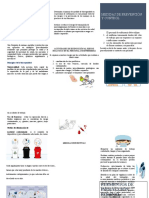 Actividad 5 Folleto