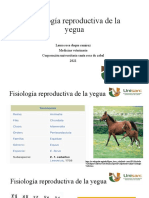 Fisiología Reproductiva de La Yegua
