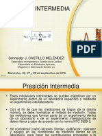 Tema 4. Precisión Intermedia - Plantilla