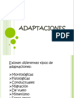 Adaptaciones 4º