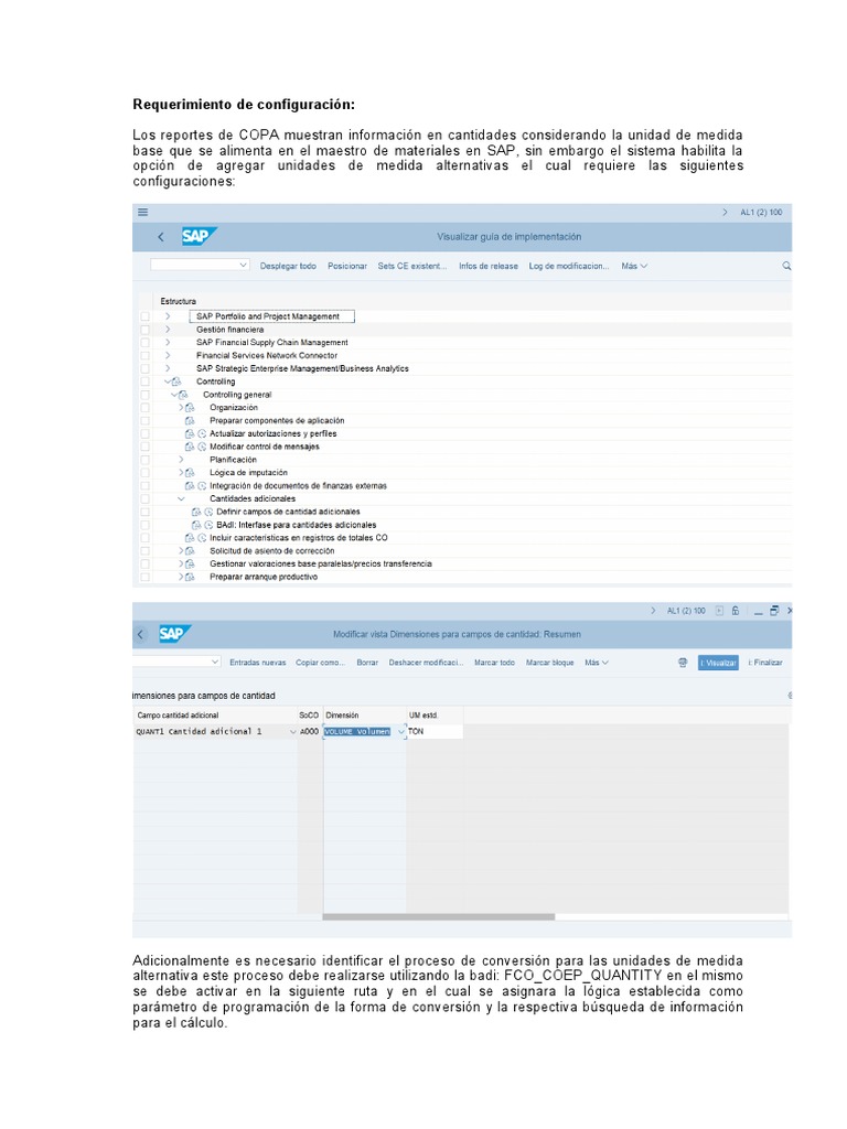 Configuración de Unidades en SAP COPA | PDF | Finanzas y dinero