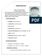 Curriculum Vitae Gustavo Adolfo