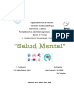 Leivys Soares (Trabajo de Investigación) "Salud Mental"