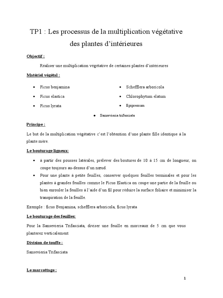 La Multiplication Vegetative