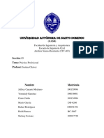 Practica Profesional PDF