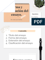 Forma y Clasificación Del Ensayo