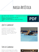 Gimnasia Artística.