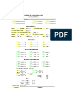 Prueba de Consol - Formato de Informe