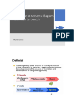 PDF Translator 1621237028006