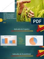 Análisis Financiero de Proarroz