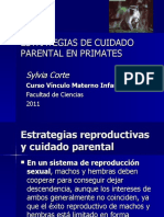 Estrategias de Cuidado Parental en Primates