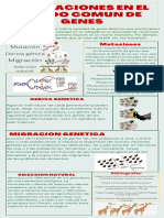 Alteraciones en El Fonfo Comun de Genes