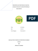 Laporan Praktikum Anatomi Fisiologi Manusia Pada Kelinci Oroginal