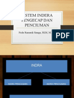 Pertemuan 15 - Sistem Indera Pengecapan Dan Penciuman