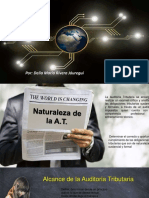 Alcance, Oportunidad, Informe de Planeamiento