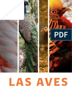 Aves