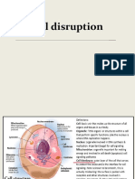 Cell Disruption Processes