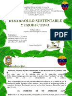 DIN Desarrollo Sustentable y Productivo