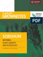 GrowNote Sorghum North 04 Physiology