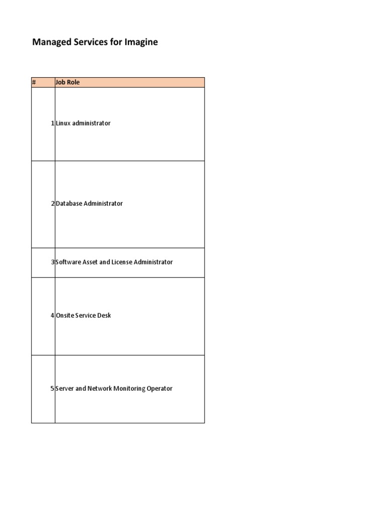 Managed IT Services Proposal for Imagine Roles, Responsibilities, and