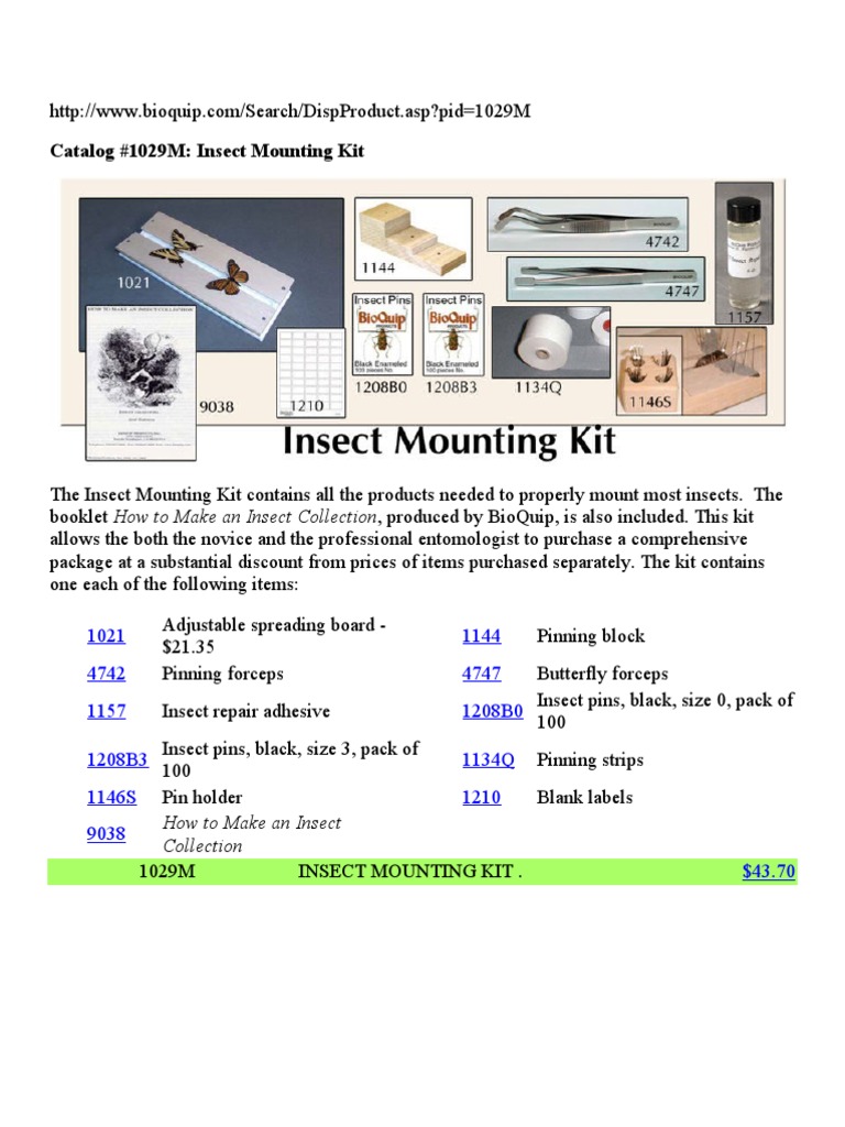 Insect Mounting Kit PDF Building Materials Nature