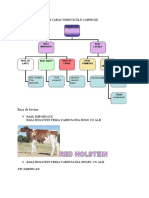 1RASE DE BOVINE SI CARACTERISTICELE CARNII DE BOVINE