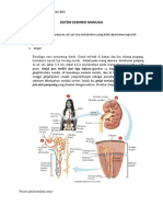 modul SISTEM EKSKRESI MANUSIA