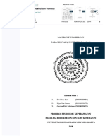 PDF Laporan Pendahuluan Vomitus Compress
