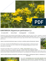 KANTARION (Hypericum Perforatum L.)