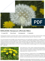 MASLAČAK (Taraxacum Officinale Web.)