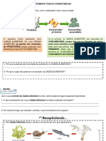 4º Ano - Ciências - Cadeia Alimentar