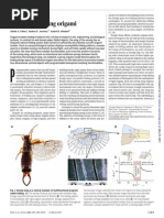 Bioinspired Spring Origami: Materials Science