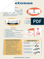 Cetonas Tarea de 5to Año