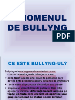 Fenomenul de Bullyng