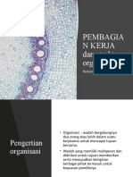 Pembagian Kerja Dan Struktur Organisasi