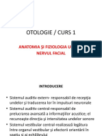 Curs 1 Anatomia Urechiipptx