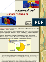 Proiect-Limba Română În Europa-Ursu Liviu