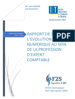 Rapport de Stage Emilio Gueracague (3) Pfe