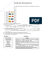 Taller de Estructura y Replicacion Del Adn