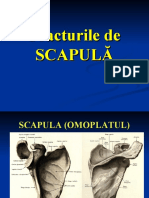 Fracturile de Scapula (R)