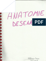 Desene Anatomie - Cap, Gât, Abdomen, Pelvis, Organe